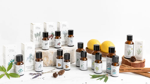 Learn About Our Essential Oils and Their Use!