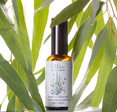 5 important factors to consider while choosing a mosquito repellent for kids