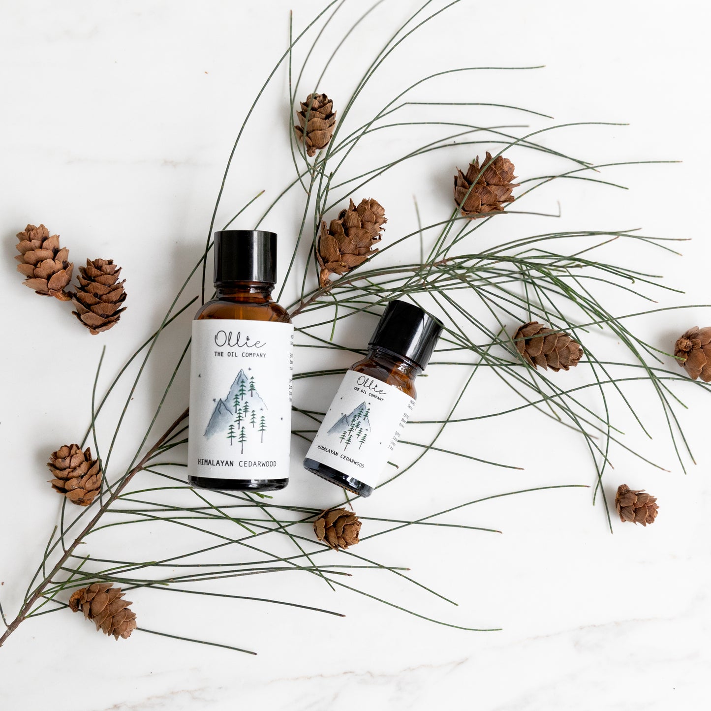 Himalayan Cedarwood Essential Oil