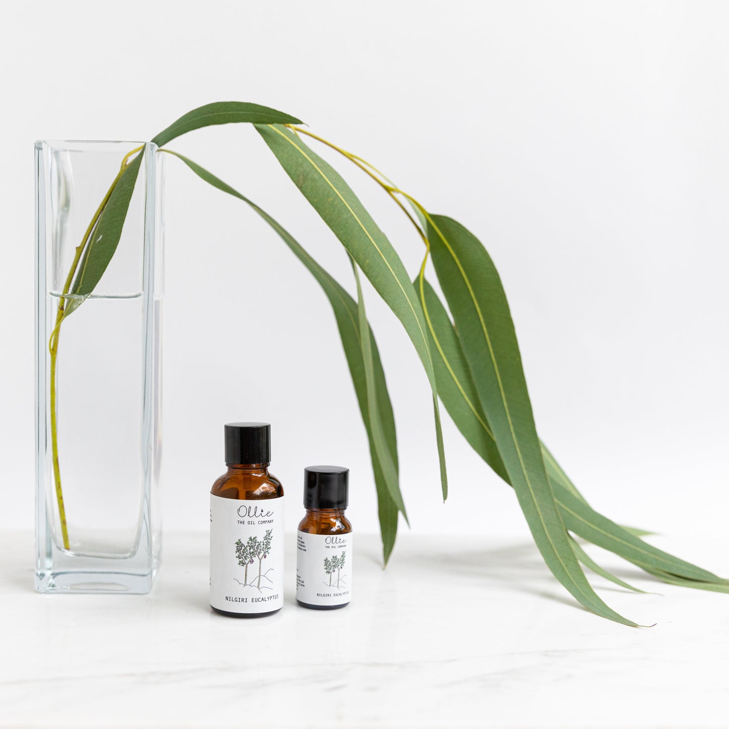 Nilgiri Eucalyptus Essential Oil