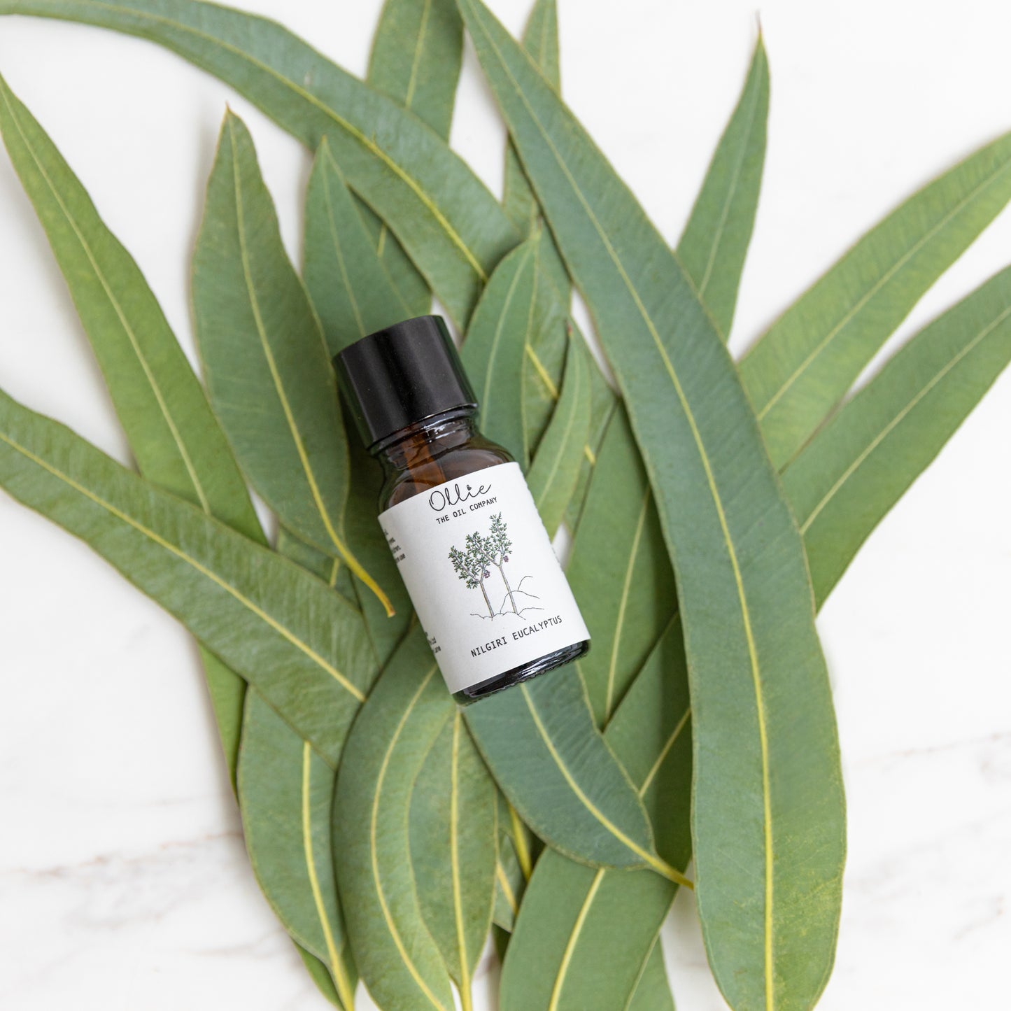 Nilgiri Eucalyptus Essential Oil