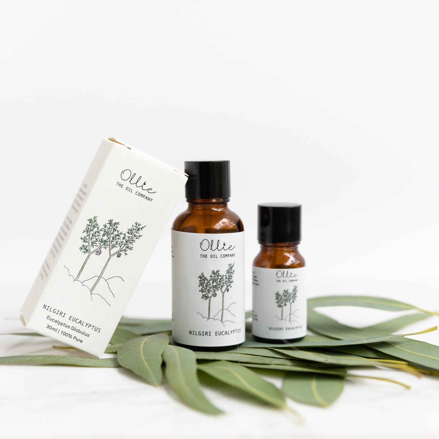 Nilgiri Eucalyptus Essential Oil