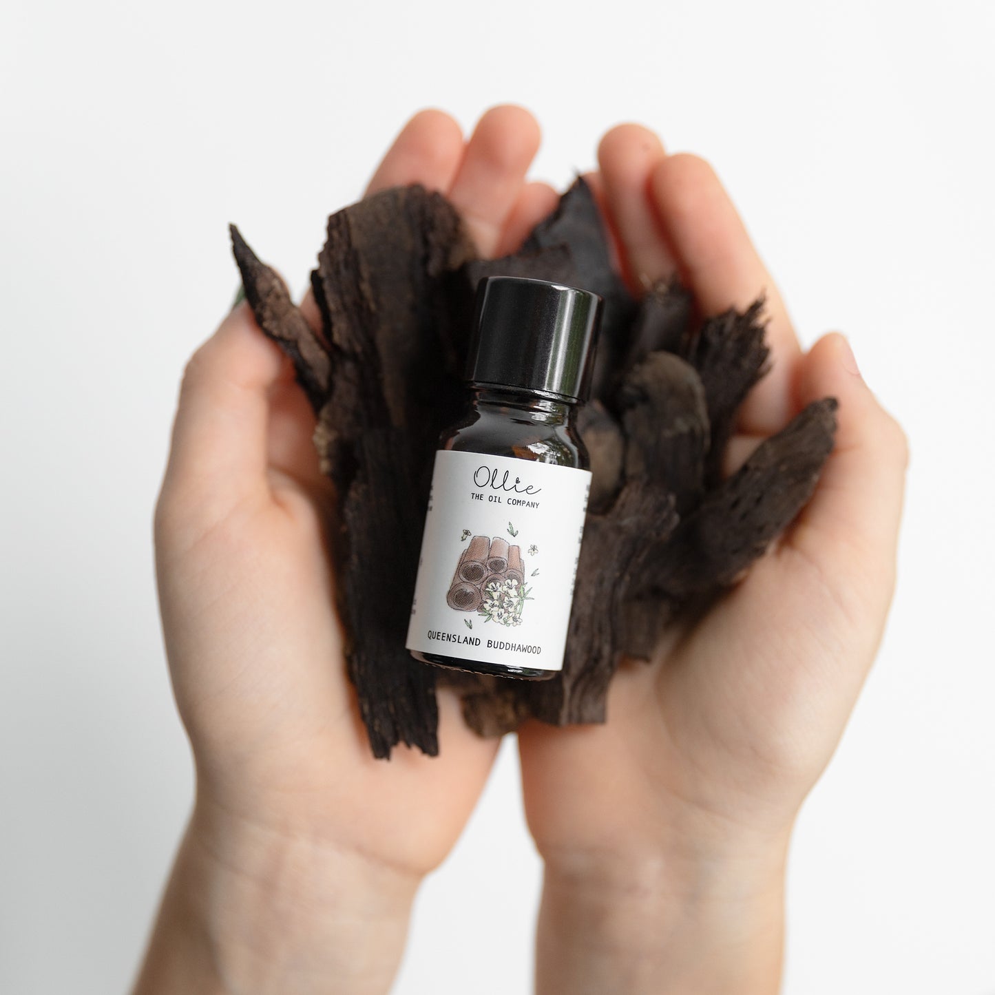 Queensland Buddhawood Essential Oil