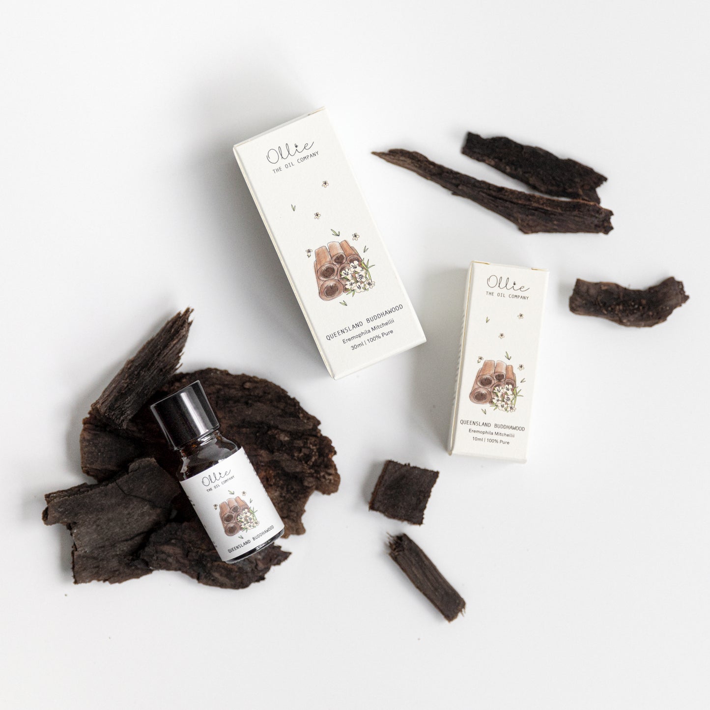 Queensland Buddhawood Essential Oil