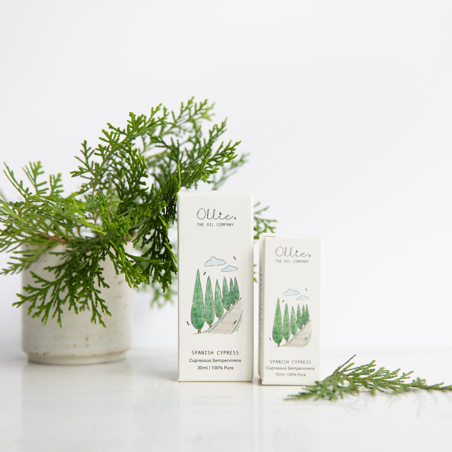 Spanish Cypress Essential Oil