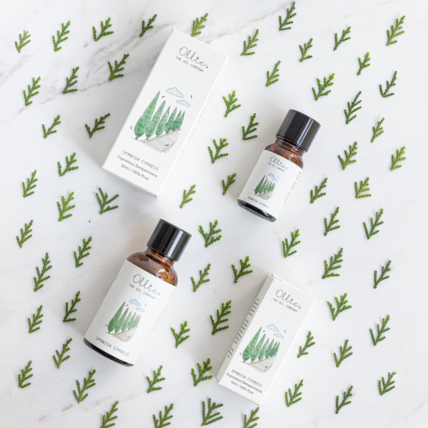 Spanish Cypress Essential Oil