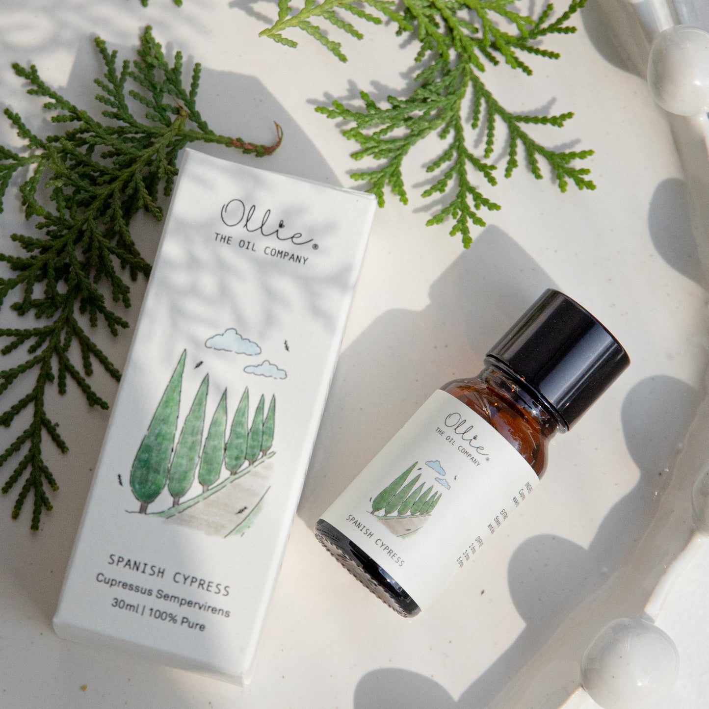 Spanish Cypress Essential Oil