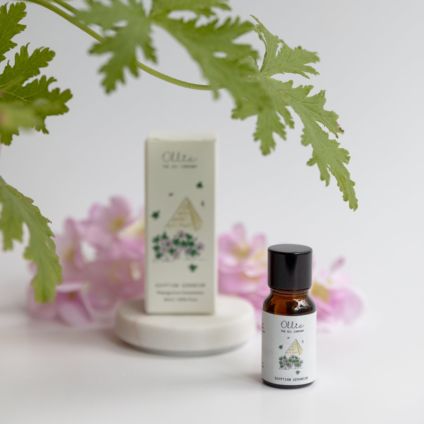 Egyptian Geranium Essential Oil