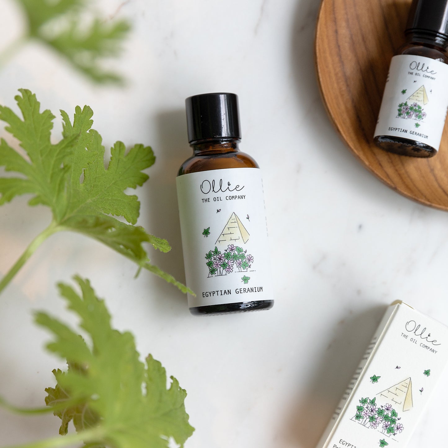 Egyptian Geranium Essential Oil