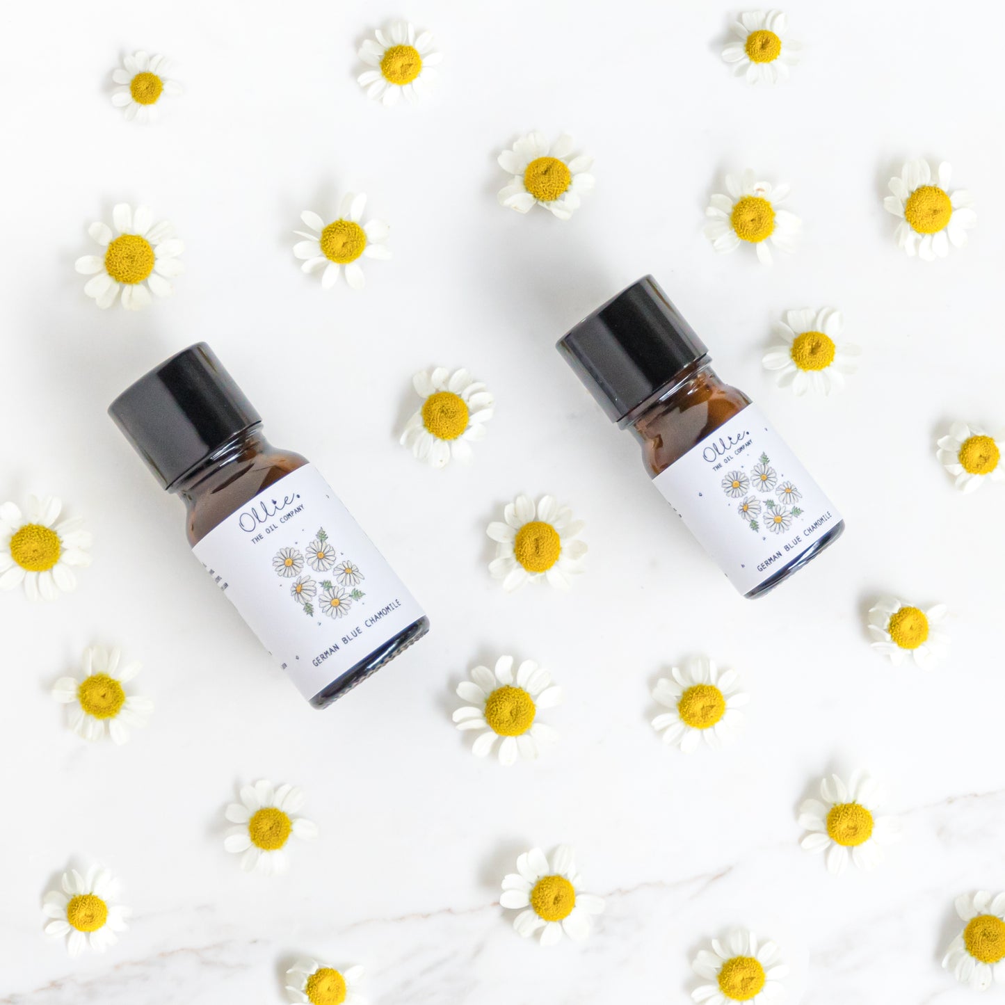 German Blue Chamomile Essential Oil