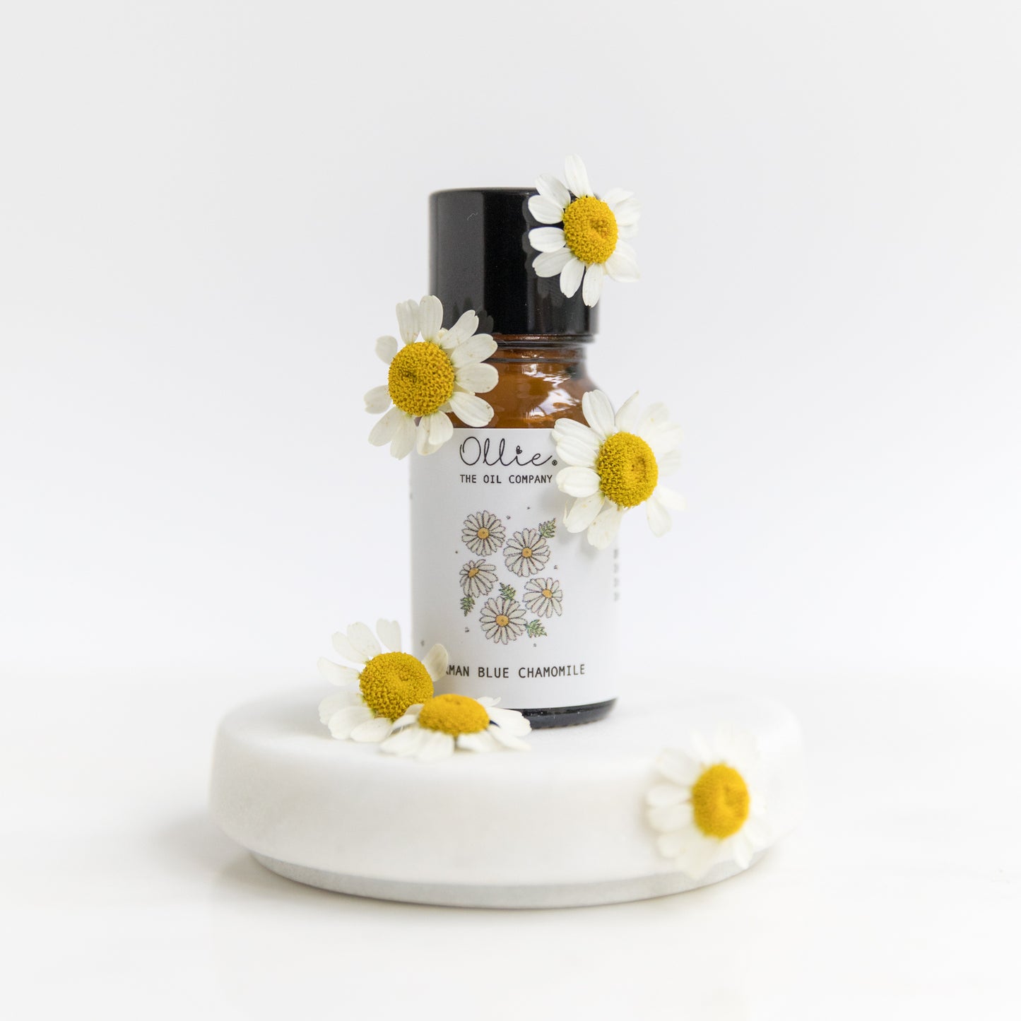 German Blue Chamomile Essential Oil