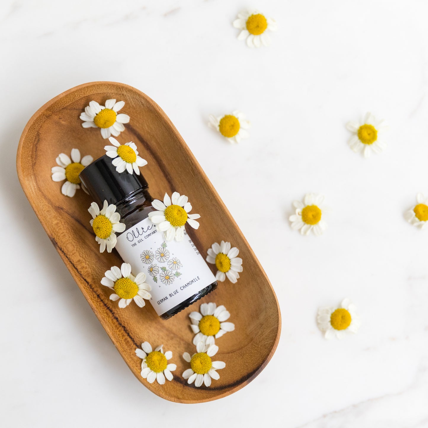 German Blue Chamomile Essential Oil