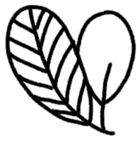 Your image description