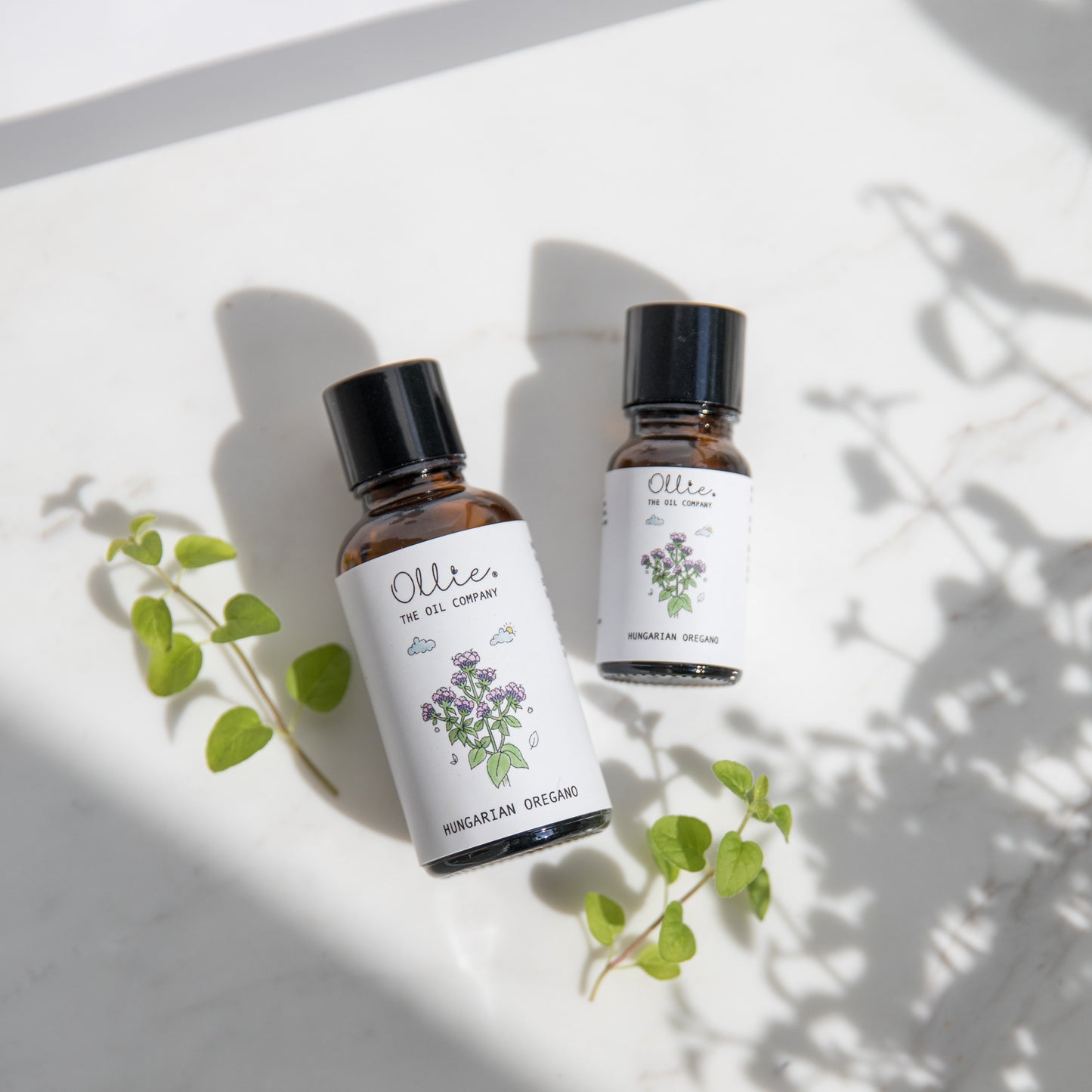 Hungarian Oregano Essential Oil