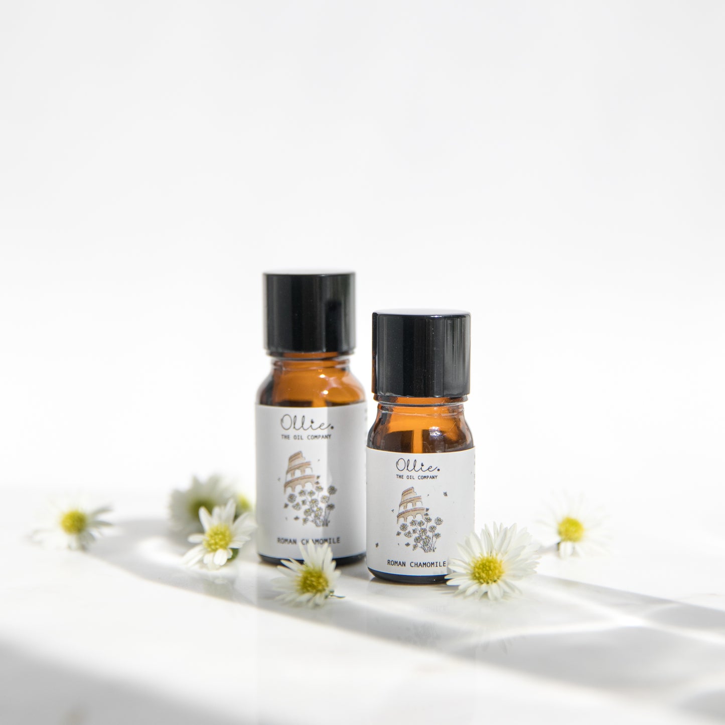 Roman Chamomile Essential Oil