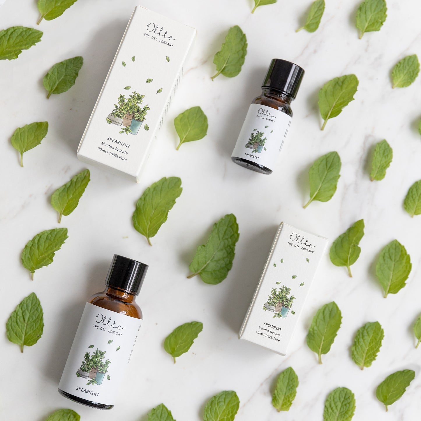 Spearmint Essential Oil
