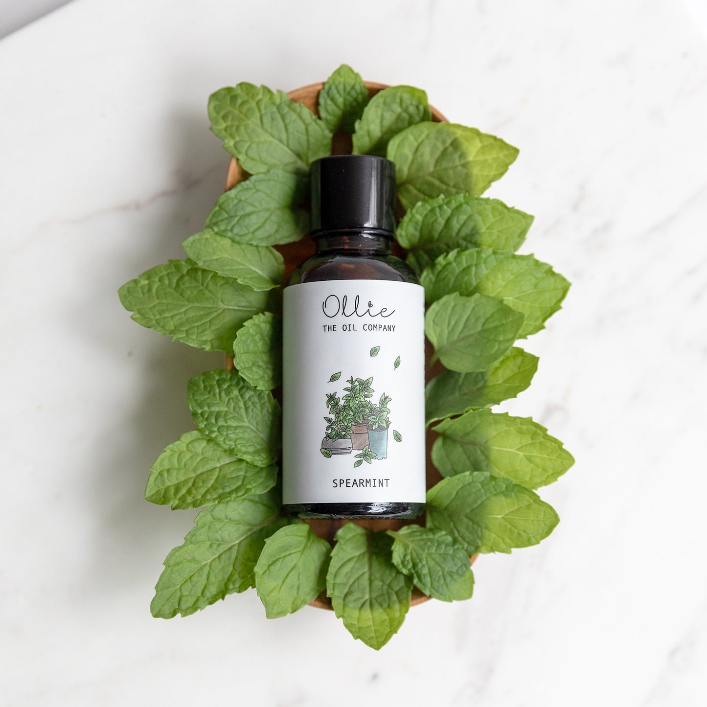 Spearmint Essential Oil
