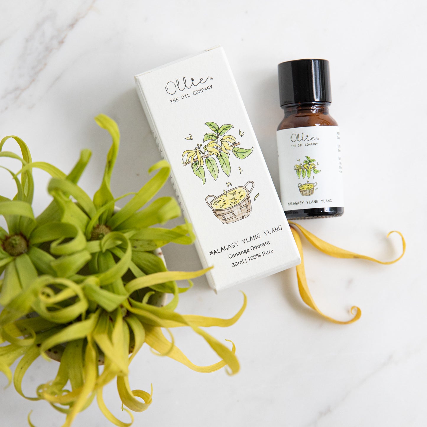 Malagasy Ylang Ylang Essential Oil