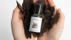 Buddha Wood Essential Oil — uses and benefits