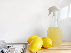 5 Ways to You Can Keep Mosquitoes Away Naturally