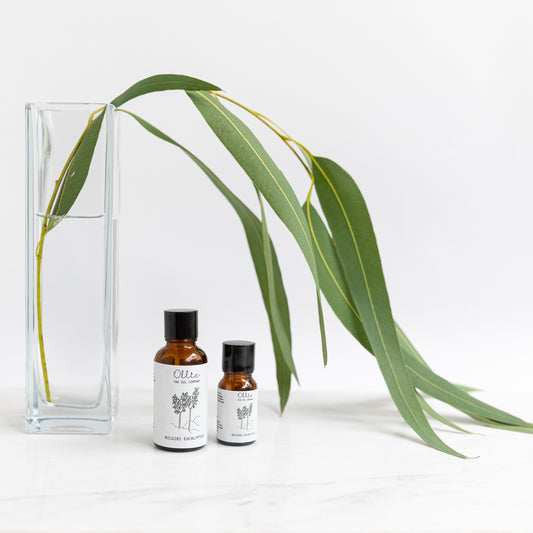 Nilgiri Eucalyptus Essential Oil