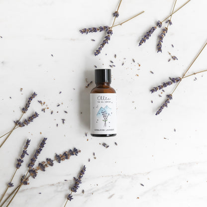 Himalayan Lavender Essential Oil