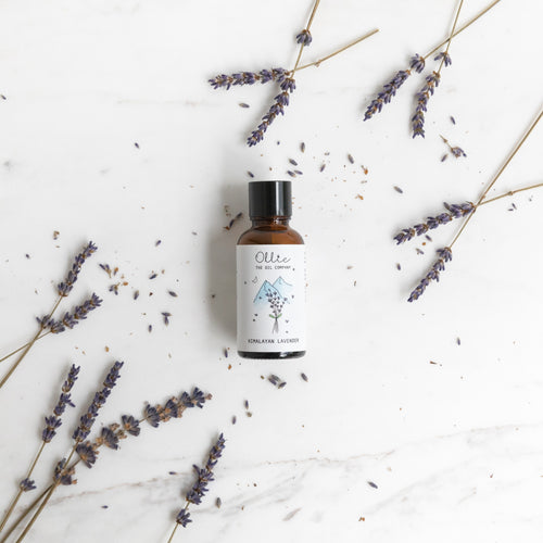 Himalayan Lavender Essential Oil
