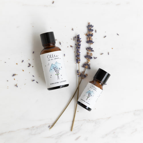 Himalayan Lavender Essential Oil