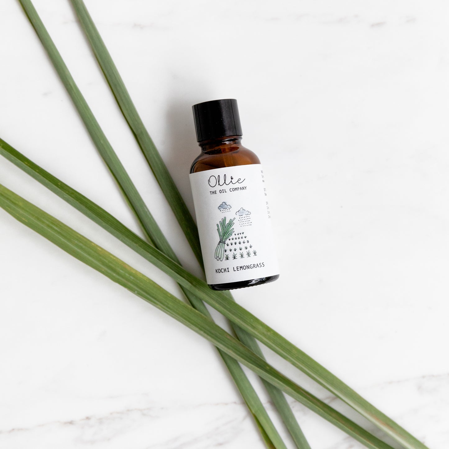 Kochi Lemongrass Essential Oil