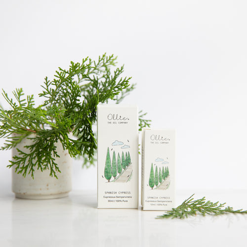 Spanish Cypress Essential Oil