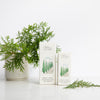 Spanish Cypress Essential Oil