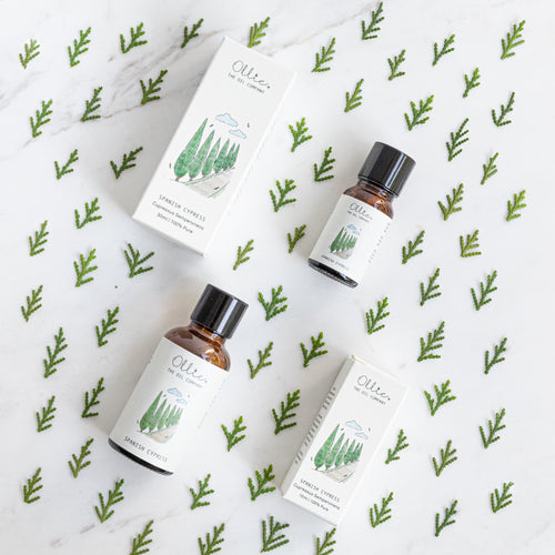 Spanish Cypress Essential Oil