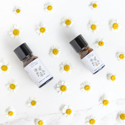 German Blue Chamomile Essential Oil