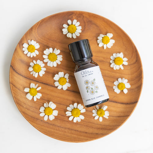 German Blue Chamomile Essential Oil