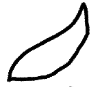 Your image description