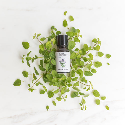 Hungarian Oregano Essential Oil