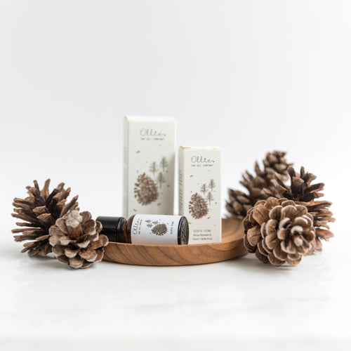 Scots Pine Essential Oil