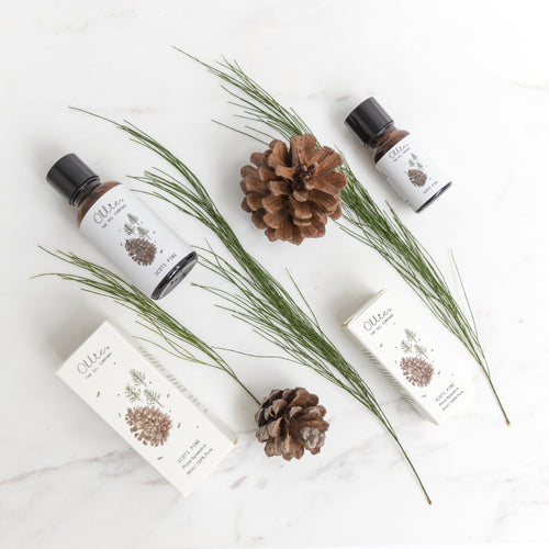 Scots Pine Essential Oil
