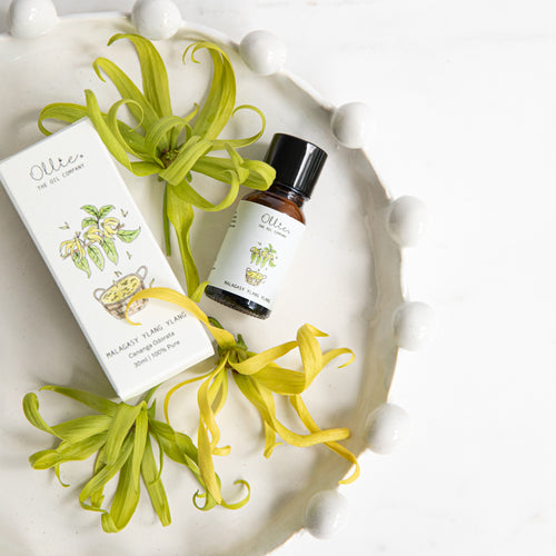 Malagasy Ylang Ylang Essential Oil