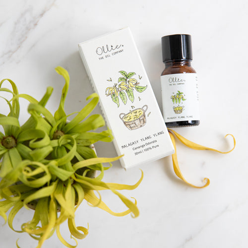 Malagasy Ylang Ylang Essential Oil